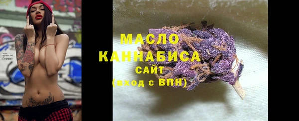 гашик Козловка