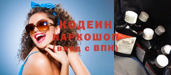 гашик Козловка