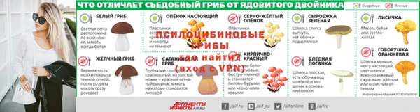 гашик Козловка