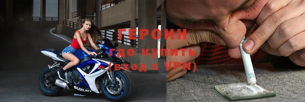 гидра Кодинск