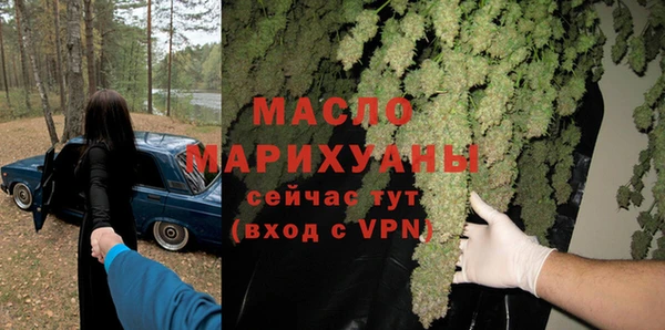 гидра Кодинск