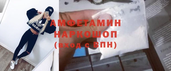 гашик Козловка