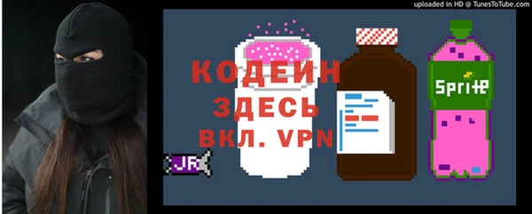 гидра Кодинск