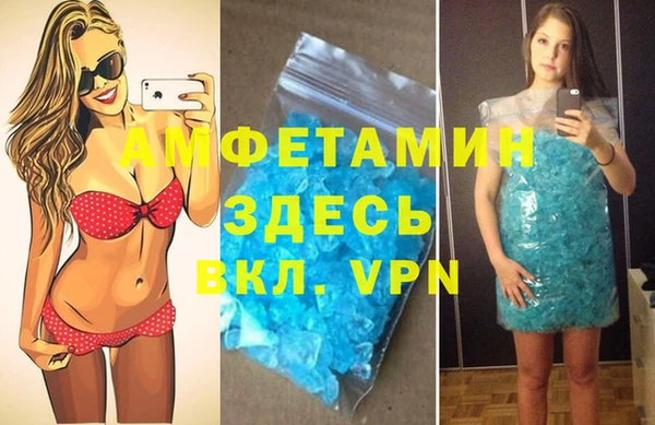 гидра Кодинск