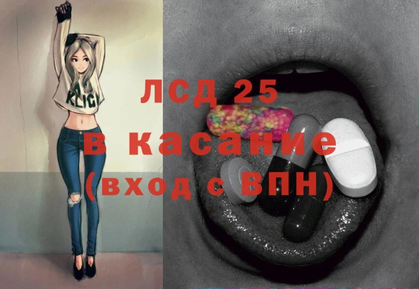 гидра Кодинск