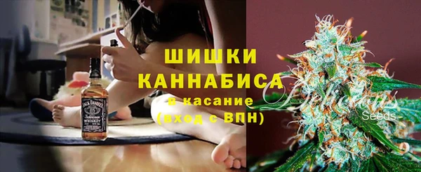 ПСИЛОЦИБИНОВЫЕ ГРИБЫ Киренск