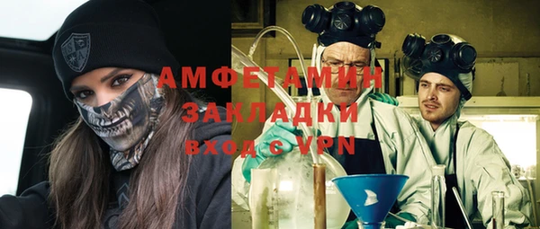 гашик Козловка