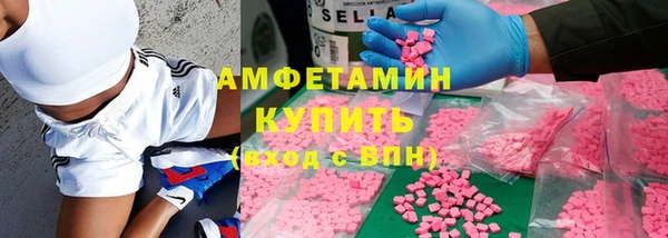 гашик Козловка