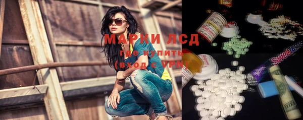 гашик Козловка
