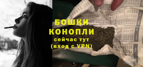 ПСИЛОЦИБИНОВЫЕ ГРИБЫ Киренск