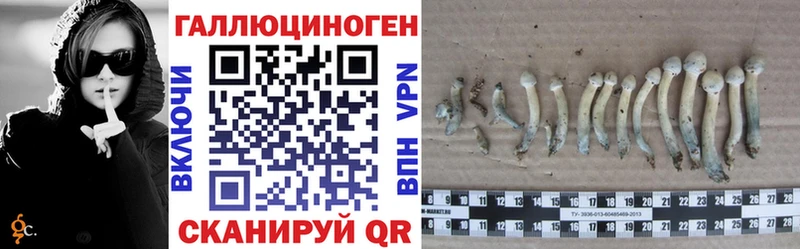 что такое наркотик  Нахабино  Галлюциногенные грибы Cubensis 